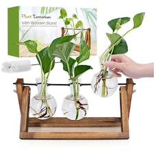 Plant Propagation Station, Plant Terrarium with Wooden Stand, Unique Gardenin...