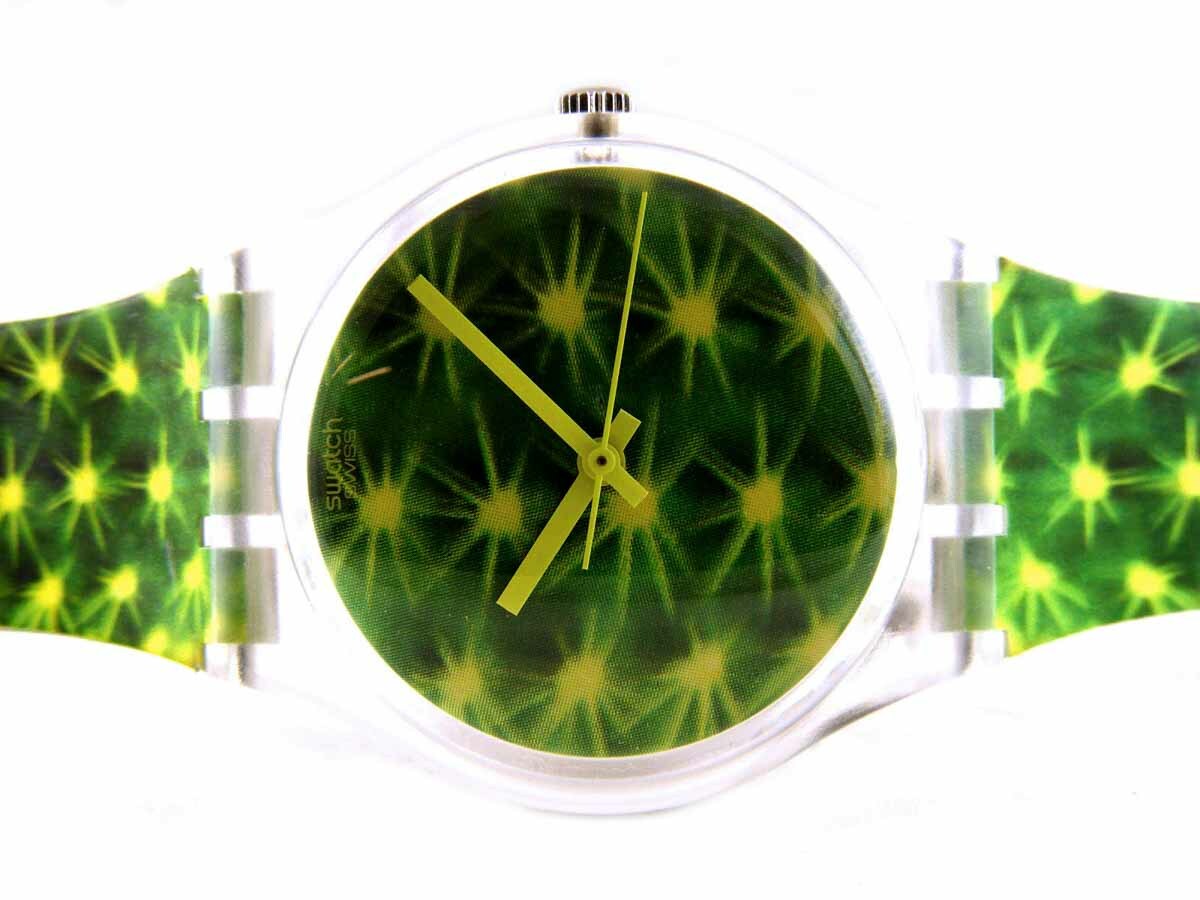 SWATCH Standard Gents Cactus in plastica Ref. GK245. NUOVO! | eBay