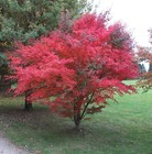 Bild 3 von 9