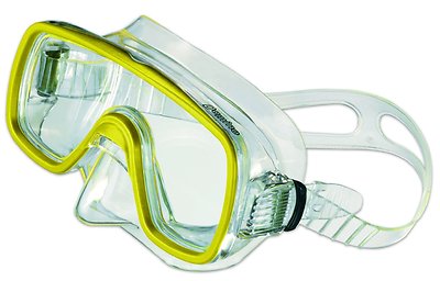 Salvas Domino SR Diving Mask