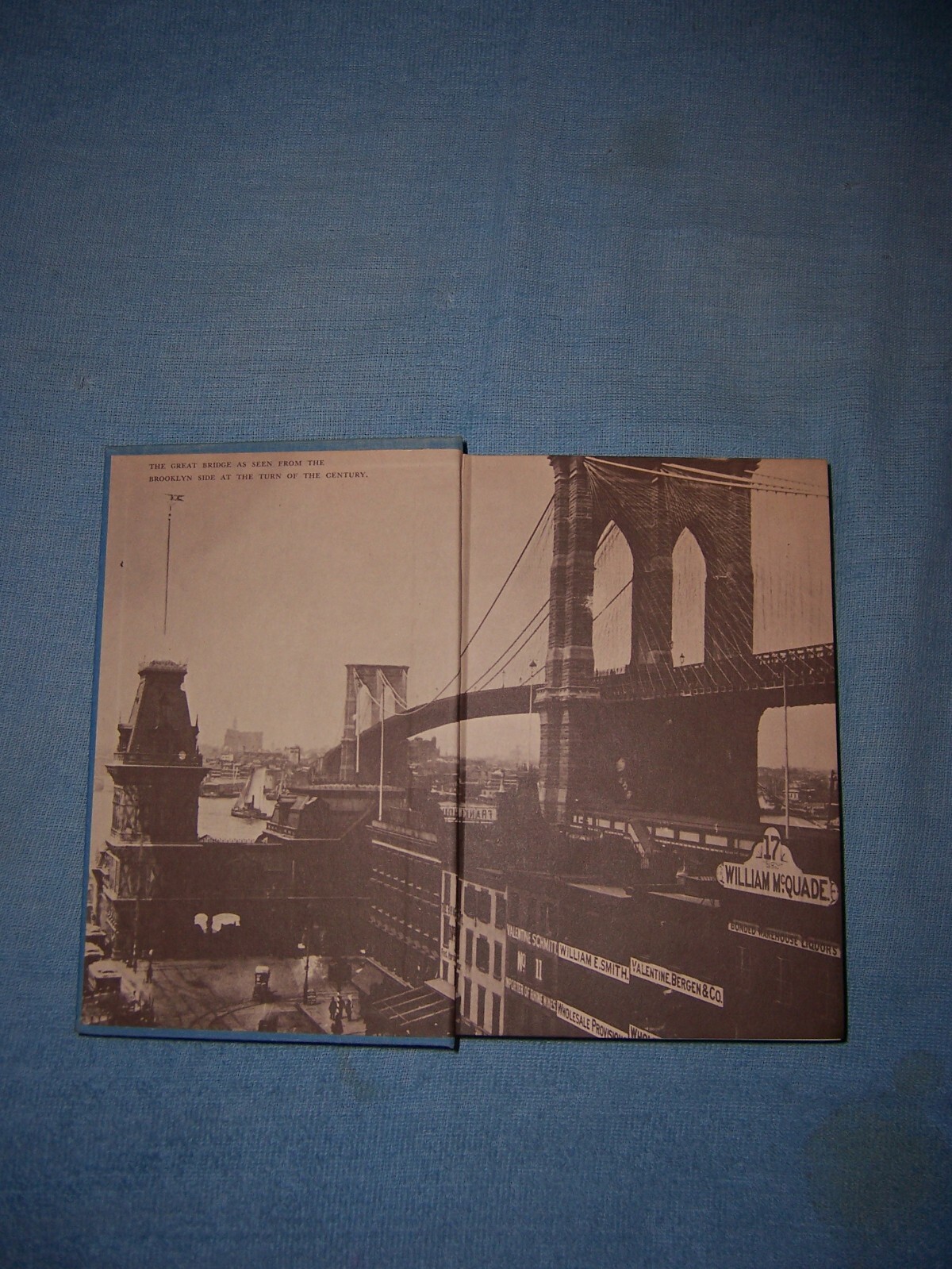 Picture 6 of 11