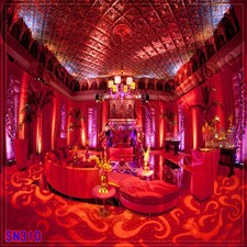 Indoor 10'x10' Computer-painted CP Scenic Photo Background Backdrop SN310B881