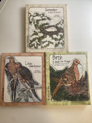 Birth: A Guide to Prayer by Bergan, Jacqueline Syrup; PLUS 2 Similar abj