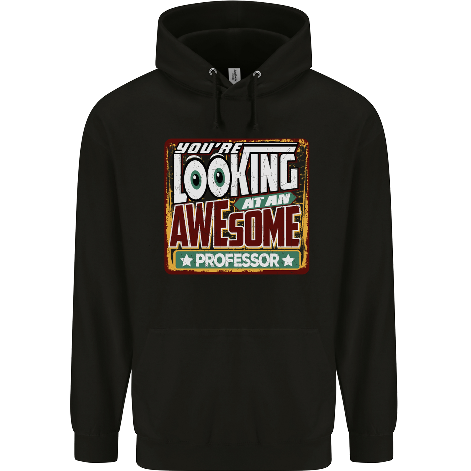 Youre Looking at an Awesome Professor Mens 80% Cotton Hoodie
