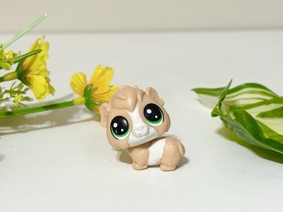 Littlest Pet Shop Mini Guinea Pig Guinsy Pigson 2-100 LPS Baby Rodent Toy Figure