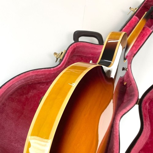 Guitarra eléctrica Fernandes tipo Burny RSA 55 ESS 335 incluida - Imagen 3 de 10