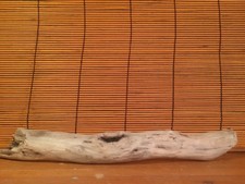 Beautiful 13" DRIFTWOOD Piece Terrarium Taxidermy Aquarium Beach Wood DECOR Art