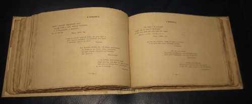 1896 Dante Alighieri Di giorno in giorno Italiano Inglese Francese tedesco - Foto 15 di 17