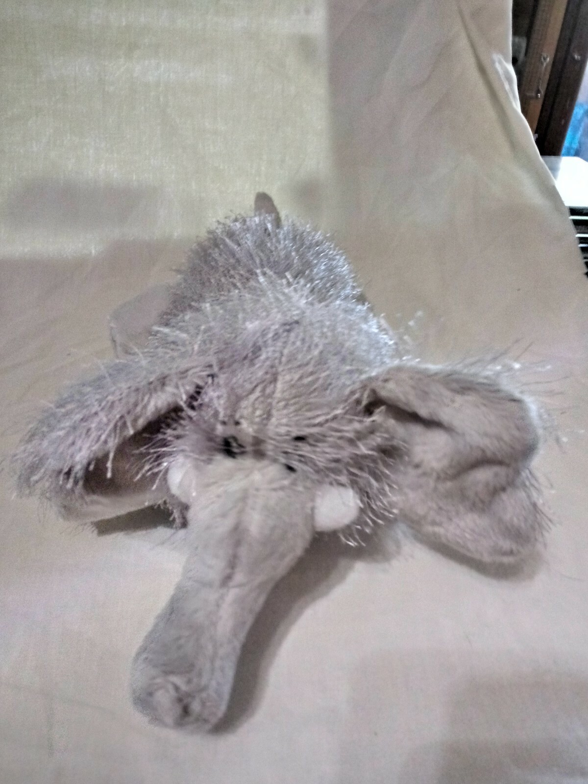 Picture 4 of 5