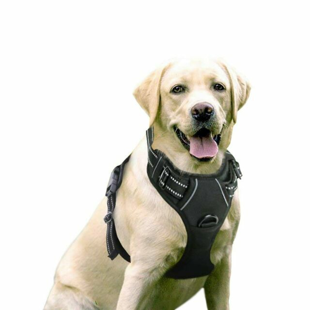 RABBITGOO Front Range Dog Harness No 
