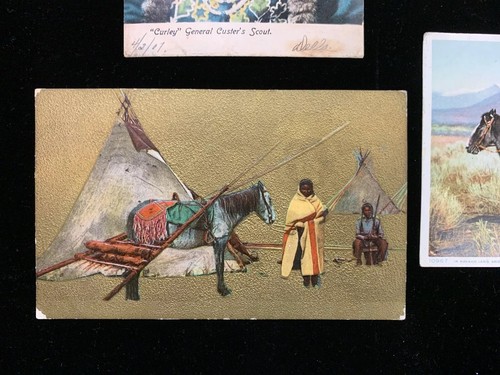 Vintage 1900's Postcards (4) American Indian - includes a "Curley" undivided - Picture 4 of 6