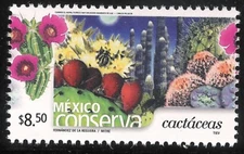 pc110 Mexico Conserva MNH paper 3 Sc#2328 Mc#3071 Et#mc110 Cactaceae