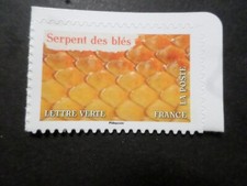 TIMBRE FRANCE 2024 AUTOADHESIF SERPENT DES BLES ANIMAUX COULEUR neuf** MNH