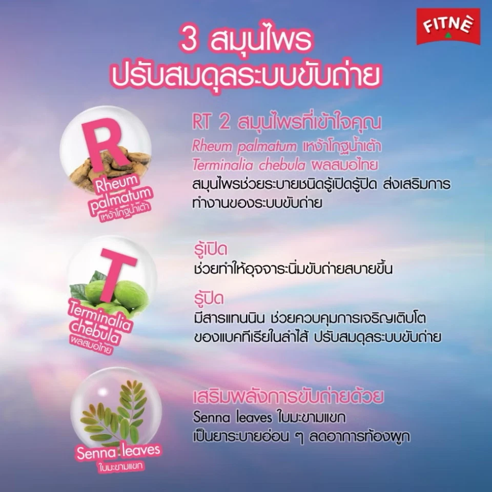 Nuevo Detox FITNE Herbal Thai Tea Infusión Delgado Control de Peso Dieta Fresa x6 Foto 3 de 4