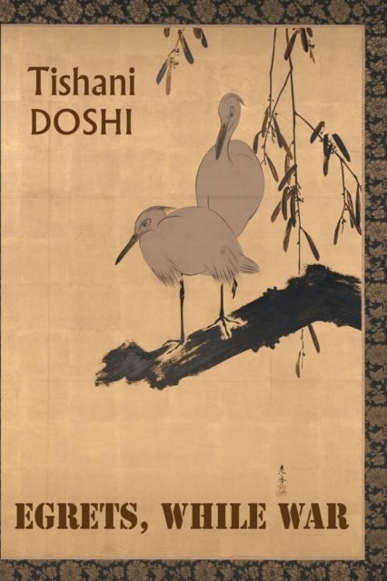 Egrets, While War by Tishani Doshi Paperback