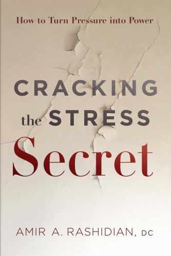 Cracking the Stress Secret : How to Turn Pressure into Power by Amir A. ...