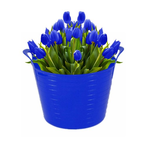 [Set of 7] Plastic 20L Flexi Tub Garden Feed Trug Flexible Storage Carry Bucket - Picture 41 of 111