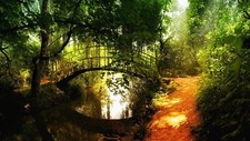 Landscape nature Custom Gaming Mat Desk