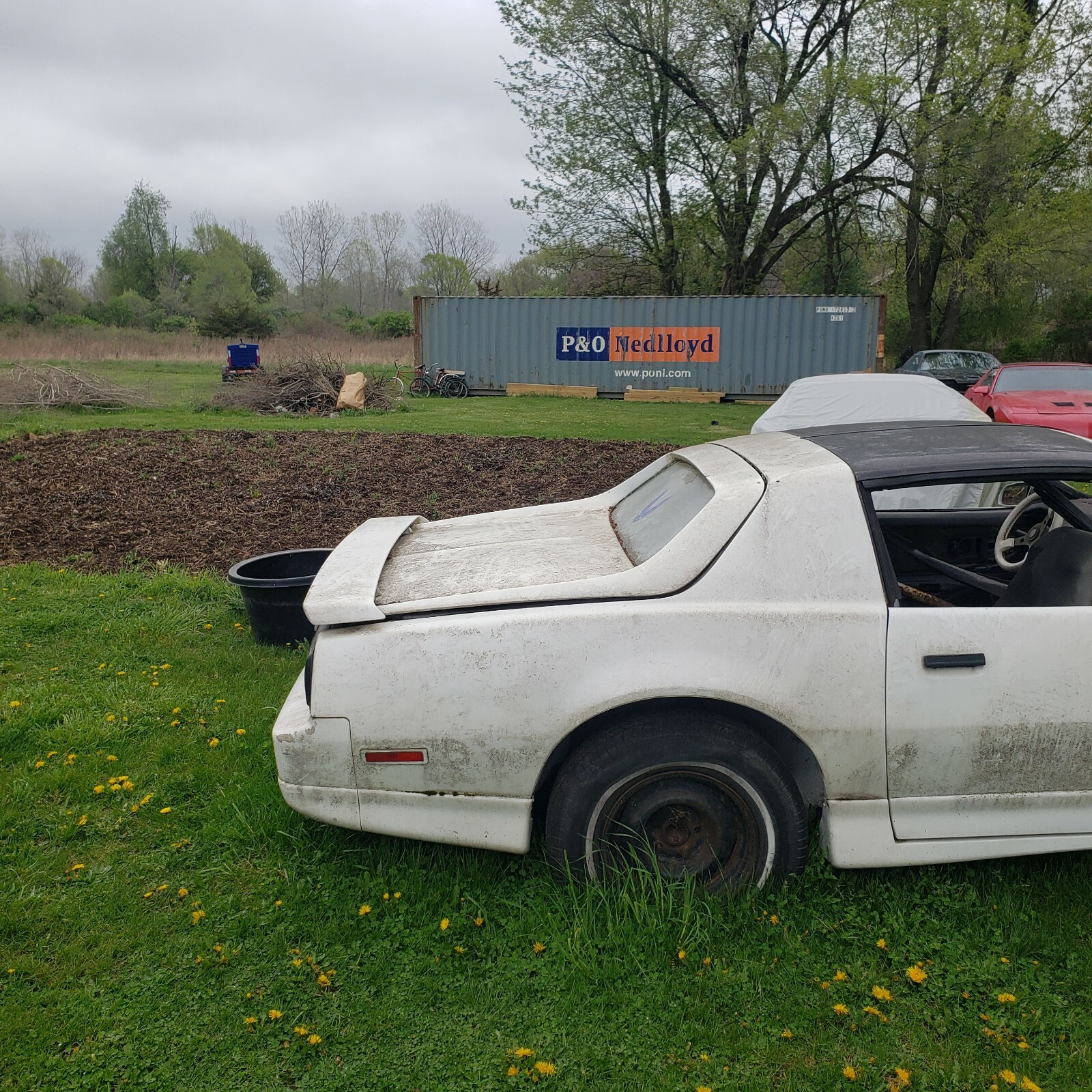 8292 trans am gta firebird notchback hatch camaro z28 iroc z RARE RARE