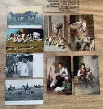 8 Antique Postcards From 1907-1909 Fox Hunt Green Spring Valley Club Horses Dogs