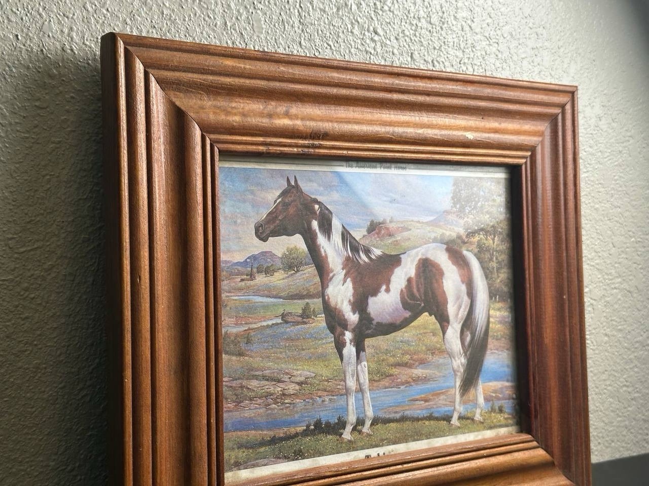 Picture 1 of 5