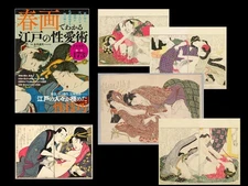 Shunga: A Chronicle of Edo-Period Sexual Techniques/Japan edo