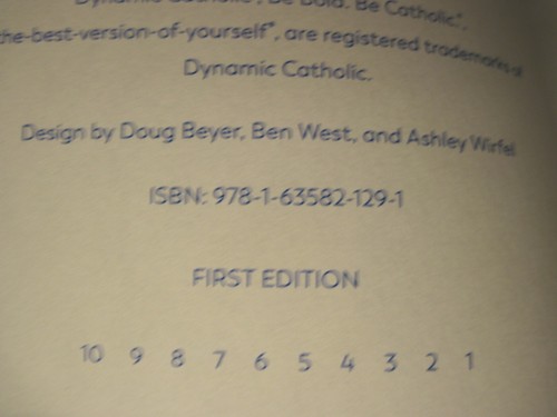 Dynamic Catholic Starting Point Baptism Parenting Guide DVD Guide Journal New - Picture 4 of 10