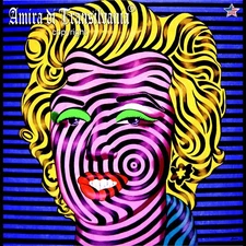 Contemporary Wall Art Painting Marilyn Monroe Woman Portrait Famouse Pop Artist