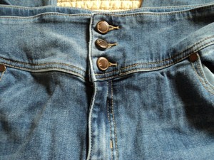 lane bryant stretch jeans