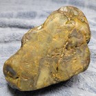 Green California Mossy Sea Jasper / Brecciated Jaspagate 3.5LBS Rough — photo 3