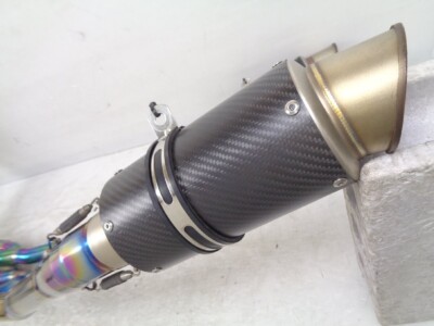 ワイルドワイバーン s-l400.jpg