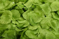 1000pcs Various Colors Silk Flower Rose Petals Wedding Party Decorations