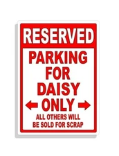 Personalized Parking Sign Wall Decal Metal Sign No Parking Customized for Daisy