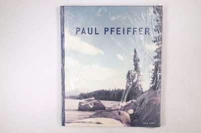 82828 Stefano Basilico PAUL PFEIFFER anlässlich der Ausstellung Paul Pfeiffer,