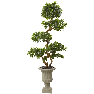 6' Artificial Pittosporum Tree in Decor Urn UV Indoor/Outdoor