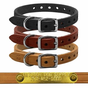 dog collars with 2 d rings
