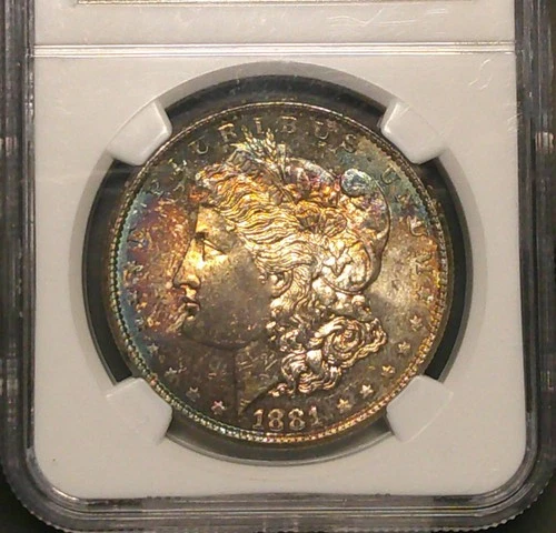 1881 S $1 MORGAN SILVER DOLLAR NGC MS 65-TONED OBVERSE-COLORFUL GEM-!!!!!!!!!!!!