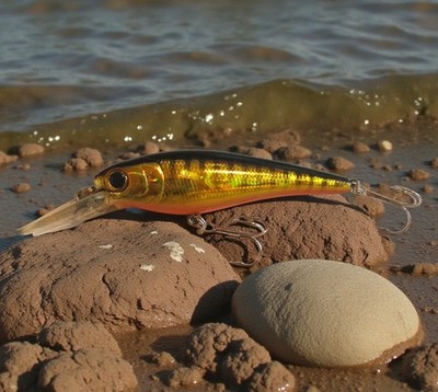 Lucky Craft BEVY SHAD 75 F Crankbait Wobbler Japan Bass Barsch Kunstköder