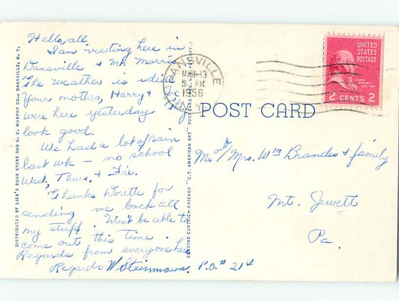 Linen PANORAMIC VIEW Dansville Near Bath & Hornell & Geneseo New York