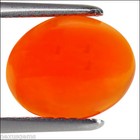 1.32 Ct Natural Ethiopian Orange Opal Gemstone Oval Cabochon Cut — photo 1