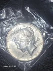 1921 Peace Silver Dollar High Relief VF+ Condition