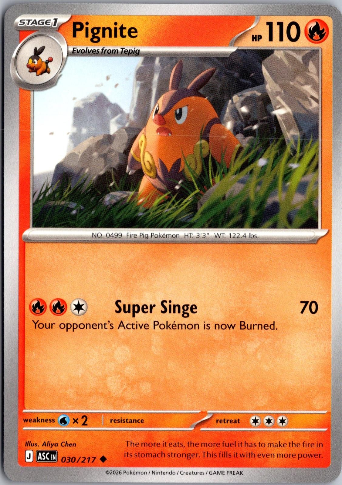 Pignite 030/217 Uncommon Ascended Heroes Pokemon Near Mint