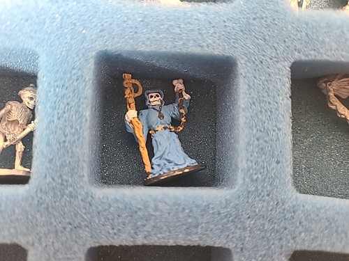Grenadier Miniatures Box Fantasy Lords Skeletons Raiders of the Undead #6002 D&D - Picture 13 of 18