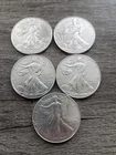 Lot of 5 Silver 2011 & 2025 American Eagle 1 oz. Fine .999 US oz Coins