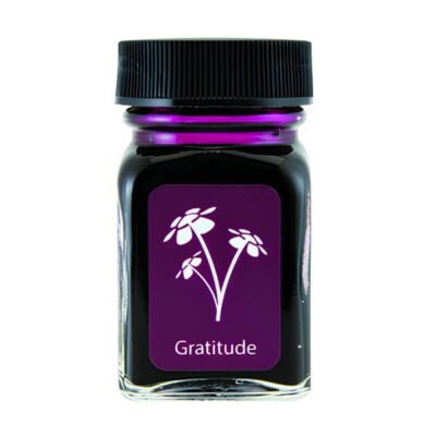 Monteverde 30ml Fountain Pen Ink Bottle Emotion Series Gratitude Magenta