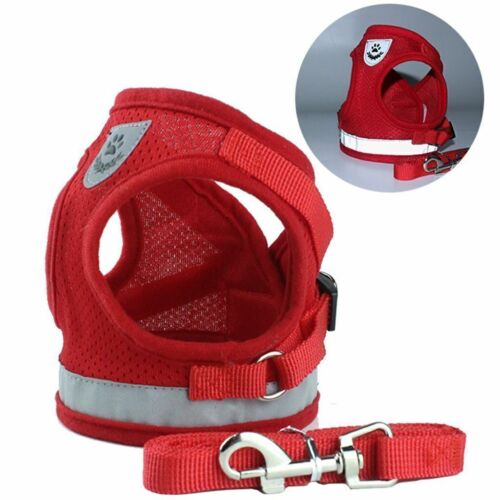 Hundegeschirr Chihuahua Mops Haustier Kontrolle Netz Gehhalsband Weste Harnes und Leine Set - Bild 18 von 22