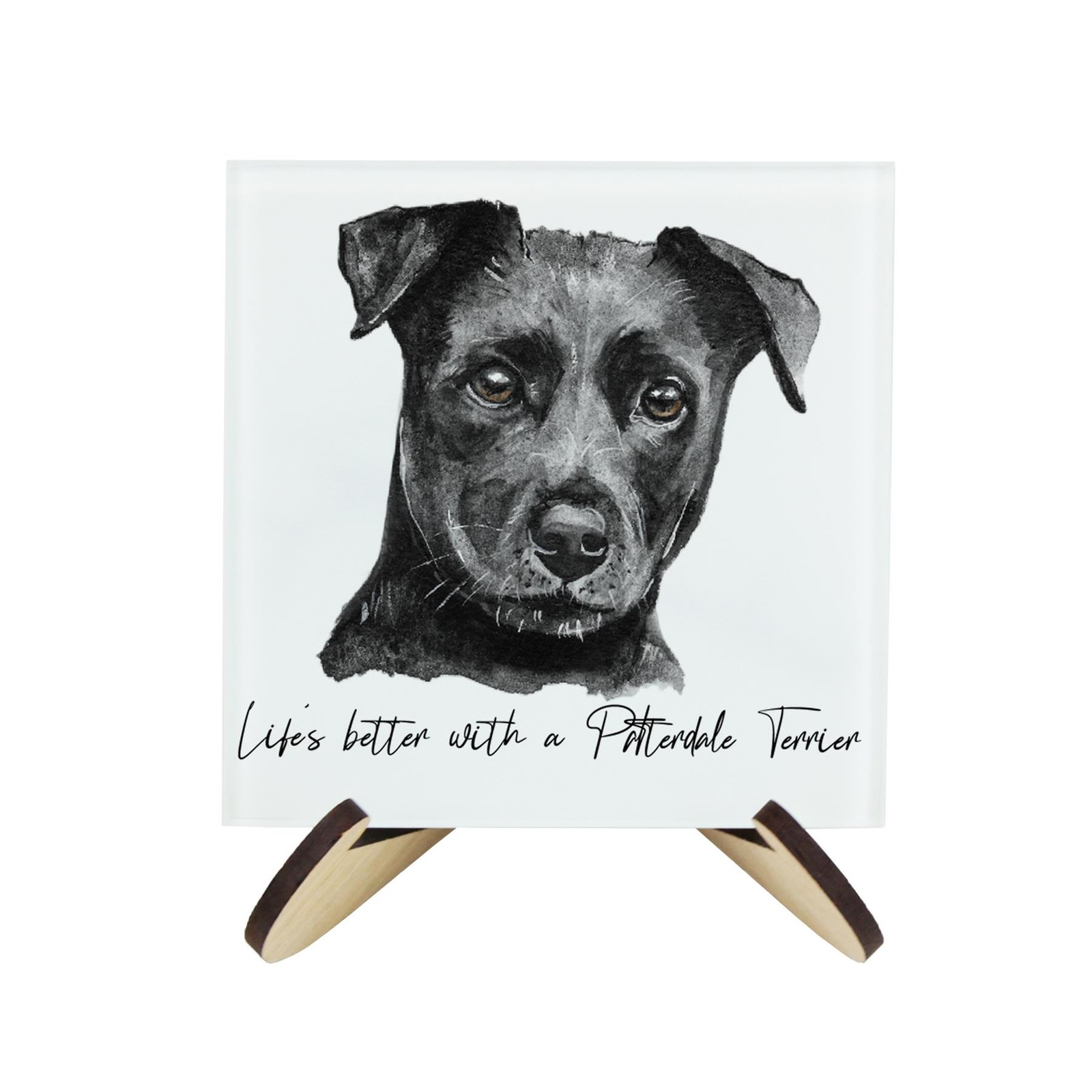 Patterdale Terrier Coasters & Stand Set - Glass Square Gifts for Dog Lovers