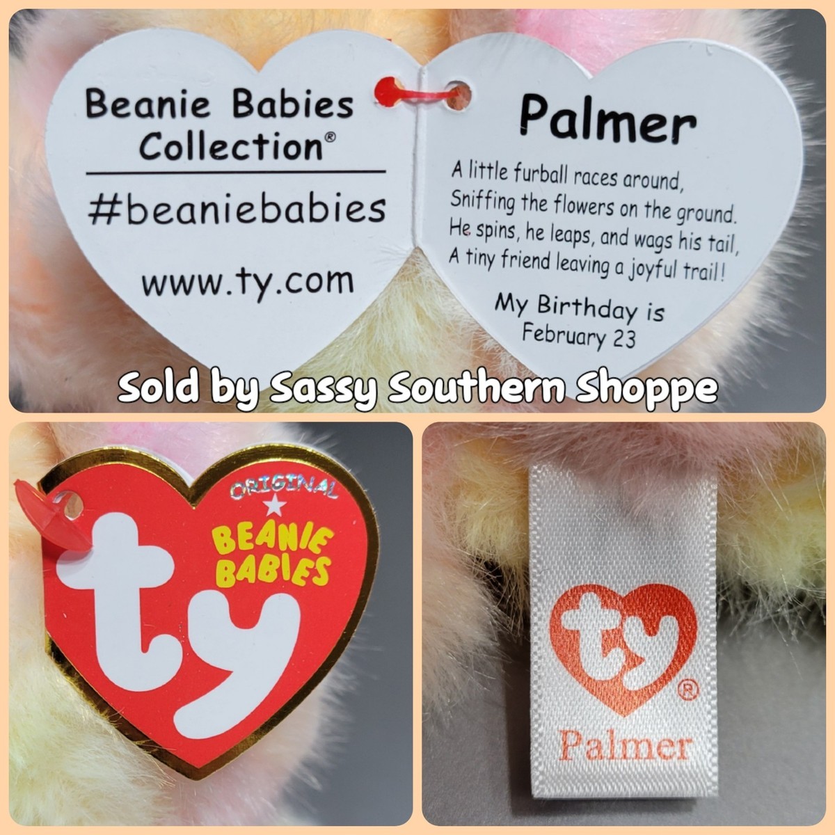 💛 PALMER 🩷 2026 Ty Beanie Babies Yellow & Pink POMERANIAN DOG 6