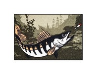 Matte Delphin Catchme! Zandermotiv Zandermatte FußMatte