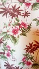 Bild 8 von 9